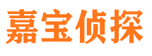 临清市私家侦探